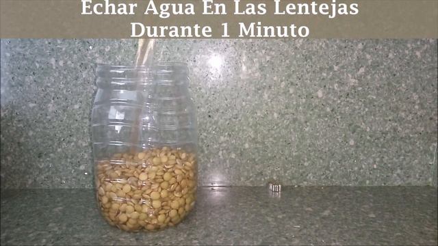 MEJOR ENRAIZANTE CASERO CON LENTEJAS 🌱🌱🌱 смотреть онлайн
