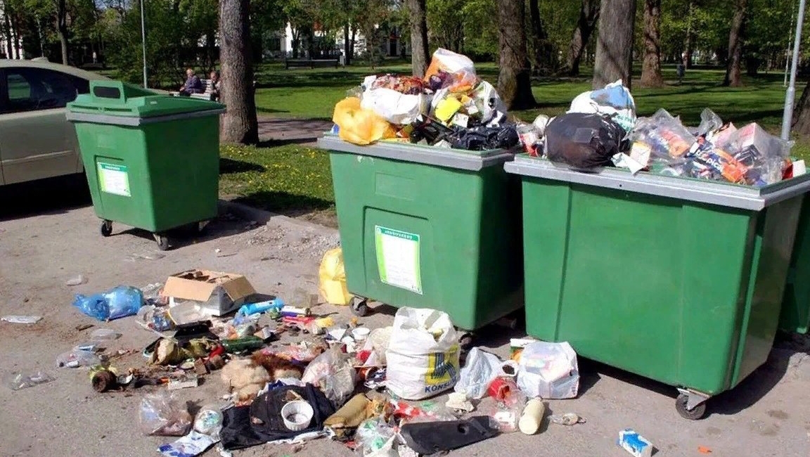 Поиски   находок