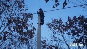 Когти монтёрские