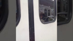 от станция метро Купчино до Станция метро московская