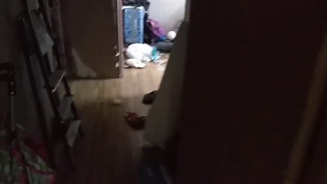 Коридорные работы - установка дверей Москва