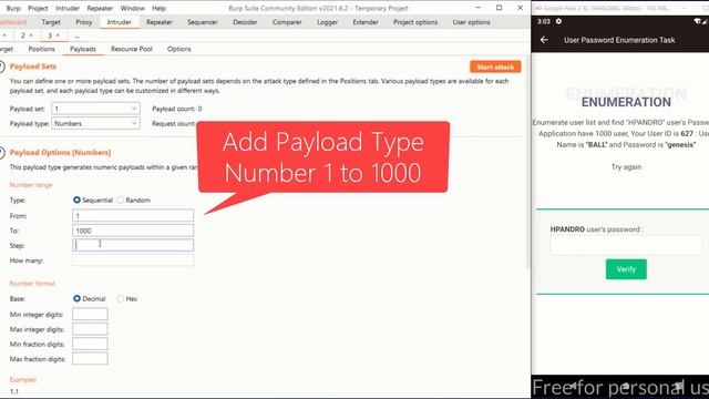 User Password Enumeration - hpAndro Vulnerable Application Challenge смотреть онлайн