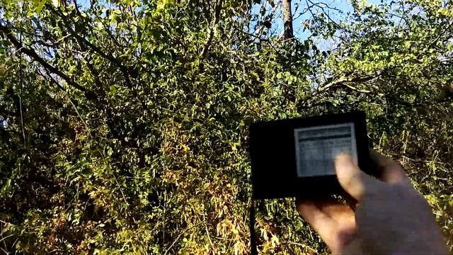 Analog. Tecsun R~909 TV Nature's . MW. смотреть онлайн