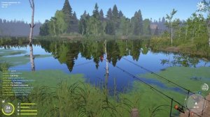 Русская Рыбалка 4 | Амур Старый Острог | Три точки Клева