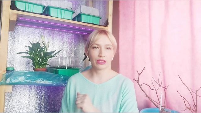 Гортензия?.Сульфат алюминия для подкисления воды?