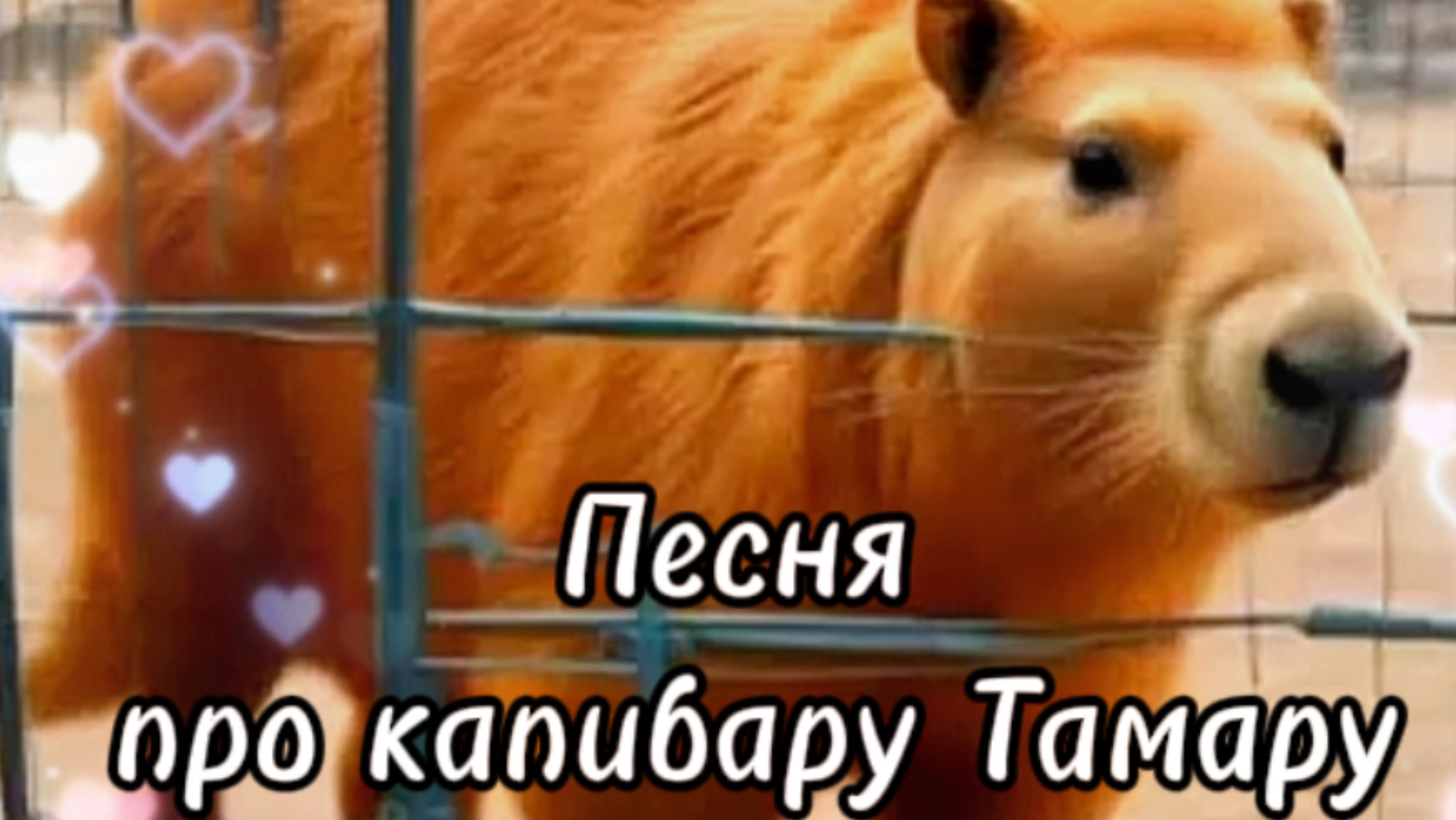 Капибара Тамара#песни#musicvideo #cartoonvideo #suno #капибара#песни2024