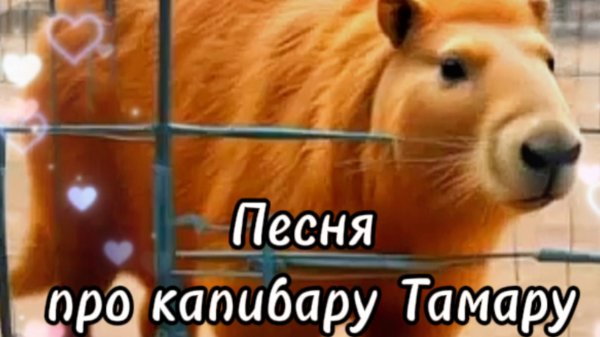 Капибара Тамара#песни#musicvideo #cartoonvideo #suno #капибара#песни2024