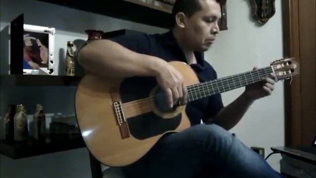 Cover Hotel California -