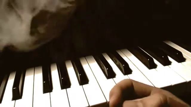 Schnittke Sonata For Violin And Piano No. 3 Mov. 3, 4 - Katha Zinn, Illya Filshtinskiy