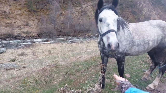 Приэльбрусье 11