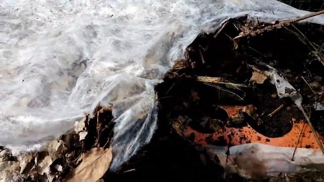 Клубника в трубах после зимы смотреть онлайн