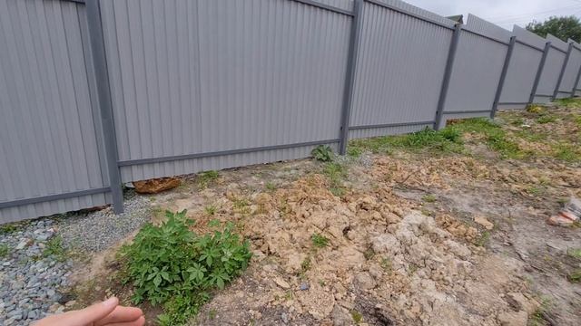 ДАЧА, ОЧИЩАЮ УЧАСТОК, БЕЗДОМНЫЕ СОБАКИ смотреть онлайн