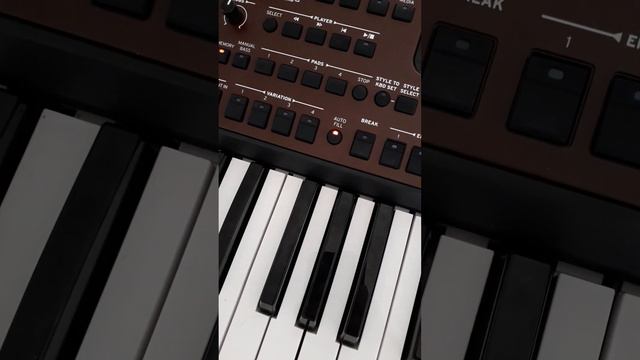 доля сет корг па пишите на вацап +79060852741 смотреть онлайн