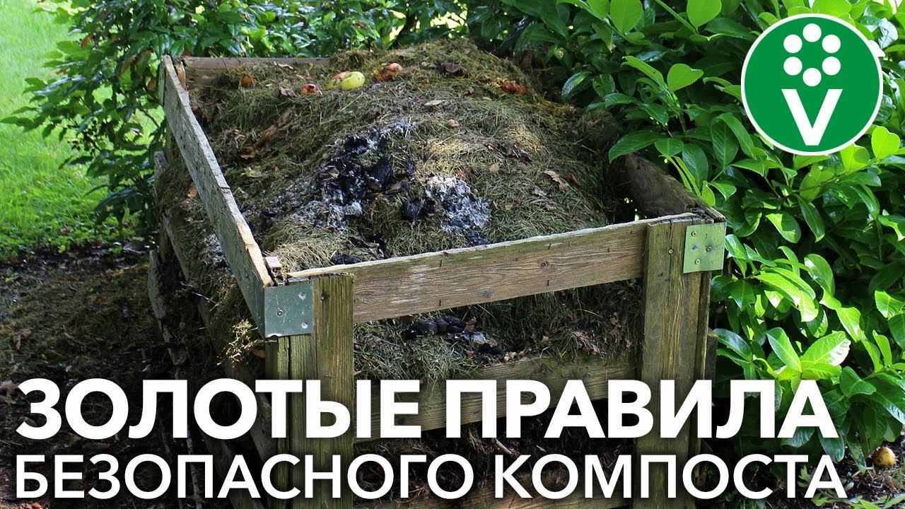 В КОМПОСТ МОЖНО КЛАСТЬ ВСЁ, если следовать ЭТИМ простым правилам смотреть онлайн