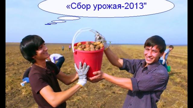 ИНТЕРЕСНЫЕ ФАКТЫ О ХЭЛЛОУИНЕ | ROBO SHOW смотреть онлайн