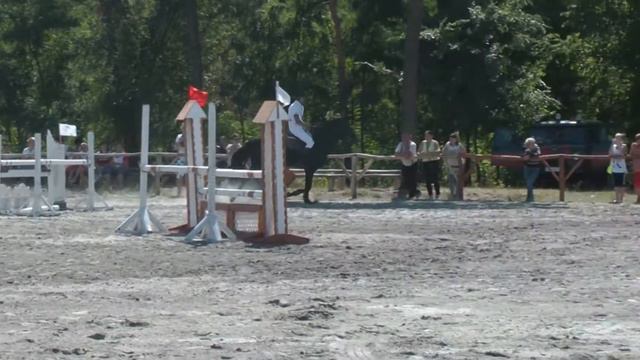 Характер. Дубинка Виталий. Конкур в Царичанке. СФХ Лелеки. 110 см. 2014 08 24. смотреть онлайн