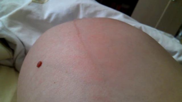 ...значит кто-то там живёт смотреть онлайн