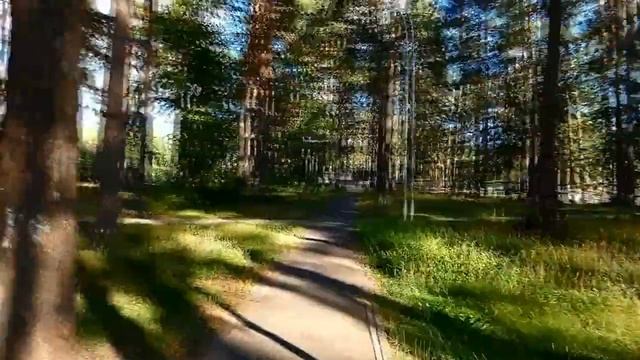 Сквер Демакова (г. Заречный) от бизнес-инкубатора до Станции юного техника. Прогулка. Август 2018 смотреть онлайн