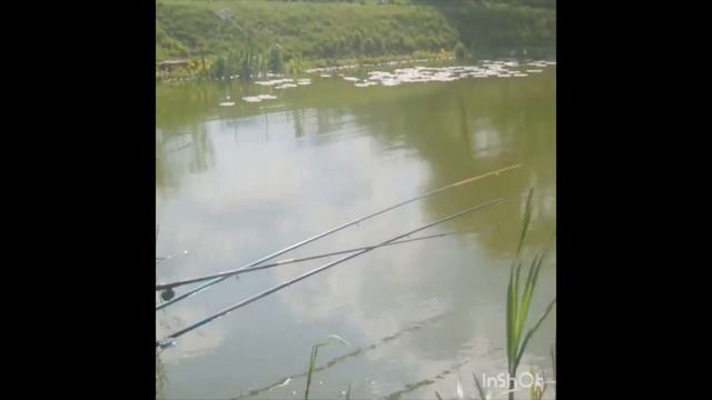 Сегодня погода супер. А КЛЁВА ТО НЕТ!!!