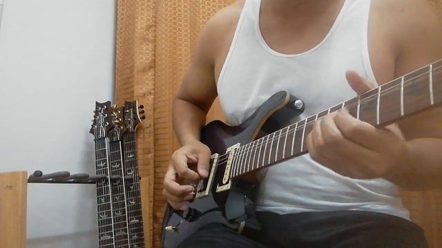 PRS SE Custom 24 Roasted Maple смотреть онлайн