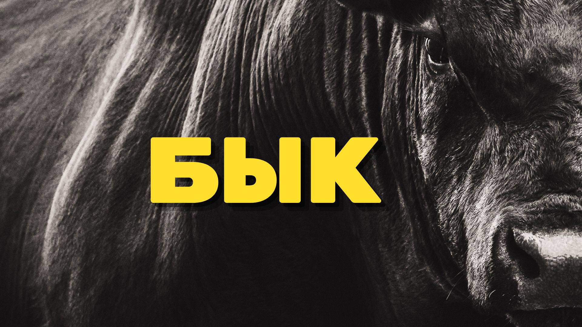 Сказки 1001 ночи |Рассказ о быке с ослом|