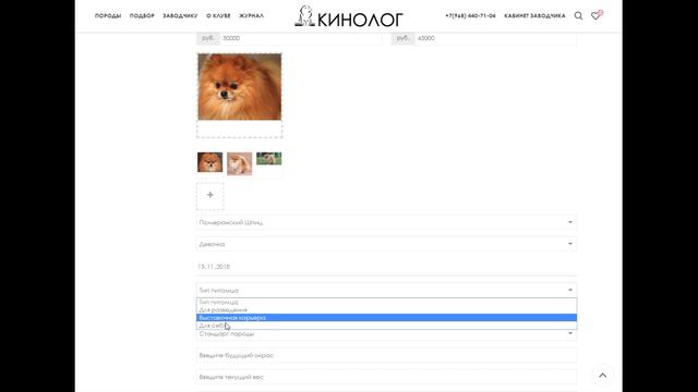 Видео инструкция как разместить щенка смотреть онлайн