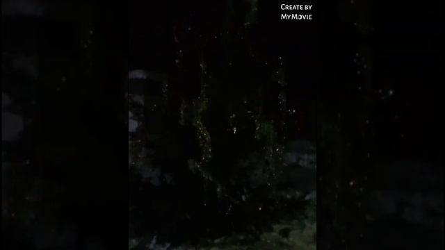 Как выглядит Деревня ночию, зимой КОРОБИХА смотреть онлайн