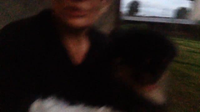 Я все жизнь дома имею домашних животных 2016 09 21 День 22 смотреть онлайн