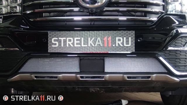 Защита радиатора СТАНДАРТ - GAC GS8 (I) с 2016г.в. - strelka11.ru смотреть онлайн