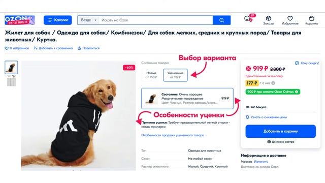 Творчество в Действии