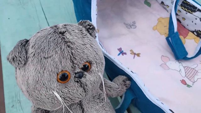 ВЛОГ С БАСИКАМИ. ГУЛЯЕМ. смотреть онлайн