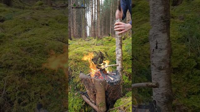 Camp Fire Donuts🔥 ASMR Cooking смотреть онлайн