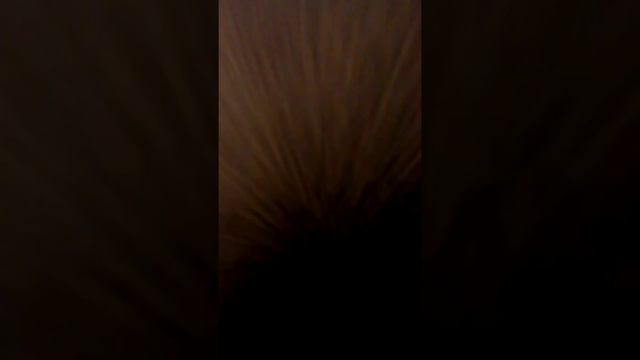 Мои диски/на xbox360/часть 2 смотреть онлайн