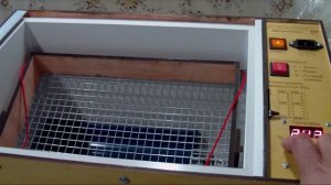 Как проверить температуру в инкубаторе