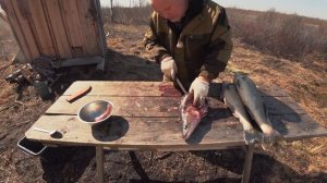 ВЯЛЕНАЯ РЫБА СУДАК ЮКОЛА ПО СИБИРСКИ