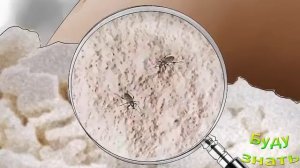 Если в МУКЕ и КРУПЕ завелись ЖУЧКИ...?