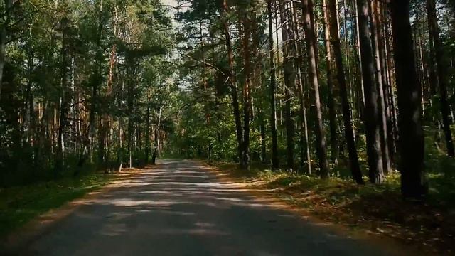 коттеджный поселок EL DACHA (Эльдача) смотреть онлайн