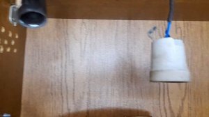 Вывел прыткую ящерицу из зимовки! Обновил террариум для прыткой ящерицы!