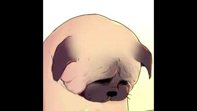 Dawg | После своей игры | Затопил соседей смотреть онлайн