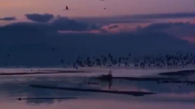 Душевный стих. смотреть онлайн