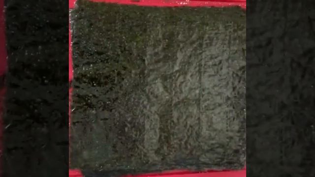 Наука и Открытия в Мире Технологий