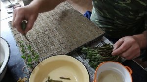 Хризантема.Принцип пикировки.