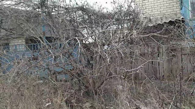 Изюм, 16 февраля 2024 года.