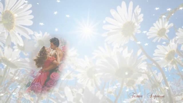 Ромашки белые смотреть онлайн