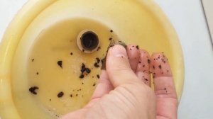 Фильтр грубой очистки воды - его тоже надо чистить.