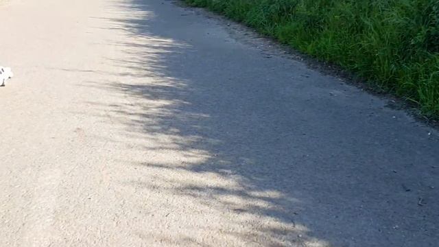 1980's tamiya Rc Ford escort mk1 drift car session... смотреть онлайн