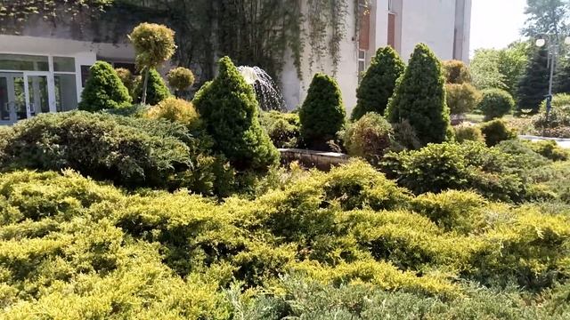 РИТУАЛЫ КРАСОТЫ, ОМОЛОЖЕНИЯ, ПРИТЯГАТЕЛЬНОСТИ смотреть онлайн
