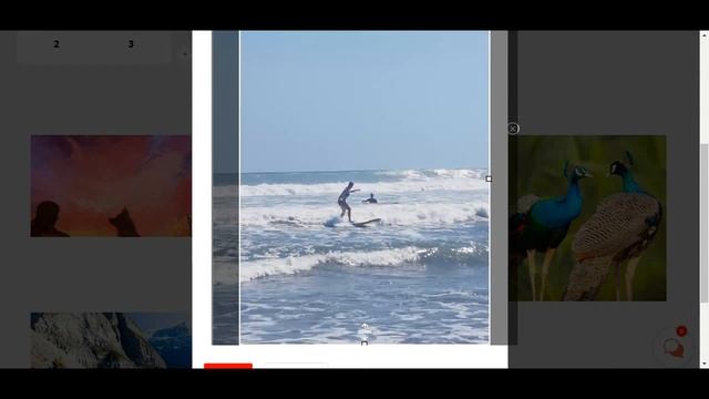 bycreatorscom profile page image upload, crop image and resize it смотреть онлайн