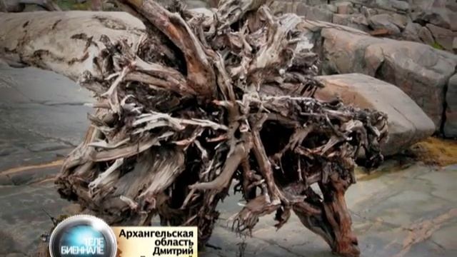 Архангельская область, Arkhangelsk Region смотреть онлайн
