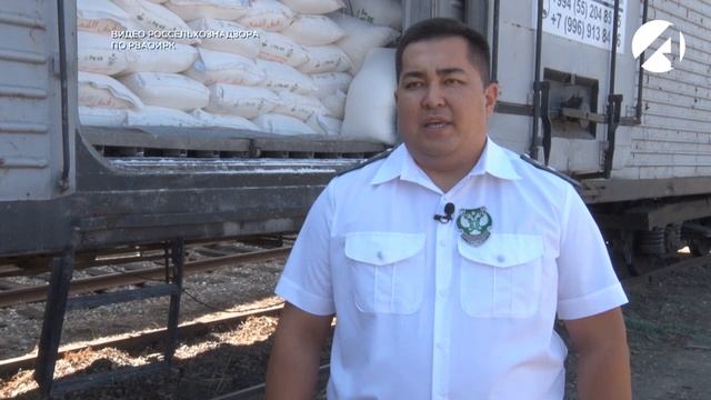 Сотрудники Россельхознадзора проверяют пробы муки для экспорта смотреть онлайн